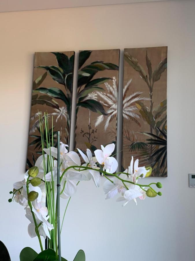 Dcm Lofts Apartment Arcozelo  Bagian luar foto
